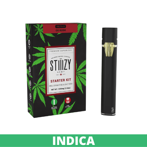 STIIIZY Starter Kit 1000mg 1g Pod with Battery & cable 1ct device - Premium  from H&S WHOLESALE - Just $14.50! Shop now at H&S WHOLESALE