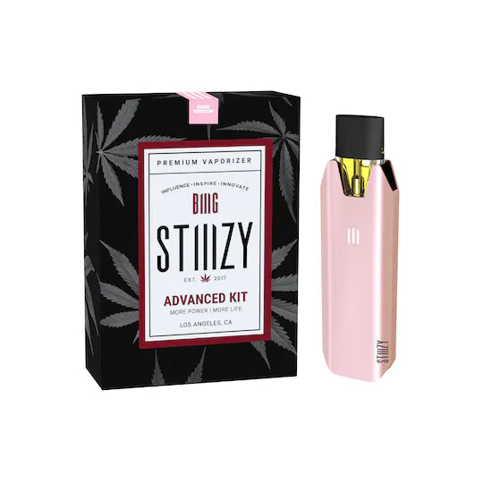 BIIIG STIIIZY Premium Vaporizer Battery 550Ah Advanced Kit 5ct box - Premium  from H&S WHOLESALE - Just $120! Shop now at H&S WHOLESALE